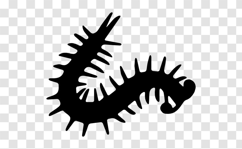 Millipedes Centipedes Clip Art - Wing Transparent PNG