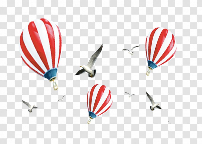 Flight Hot Air Balloon Transparent PNG