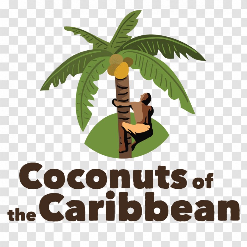 Coconut Day Jamaica Trinidad Tree - Coldpressed Juice Transparent PNG