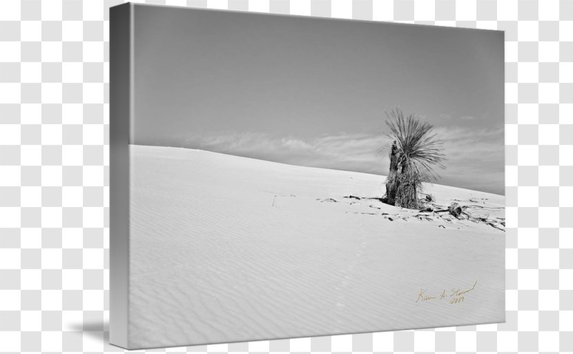 White Picture Frames Rectangle - Landscape - Design Transparent PNG