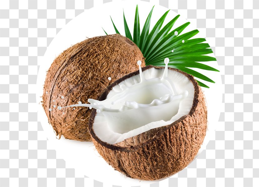 Coconut Milk Ice Cream Flavor - Coco Loco Transparent PNG