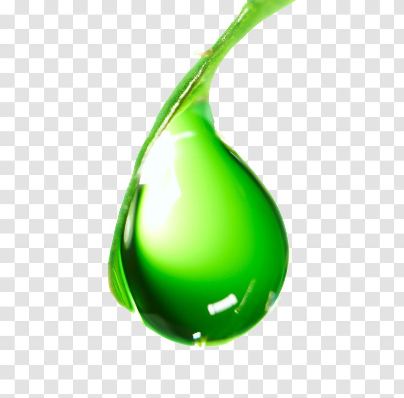 Pure-le Natural Liquid Greens Chlorophyll Water - Green - Various Seaweed Plants Transparent PNG