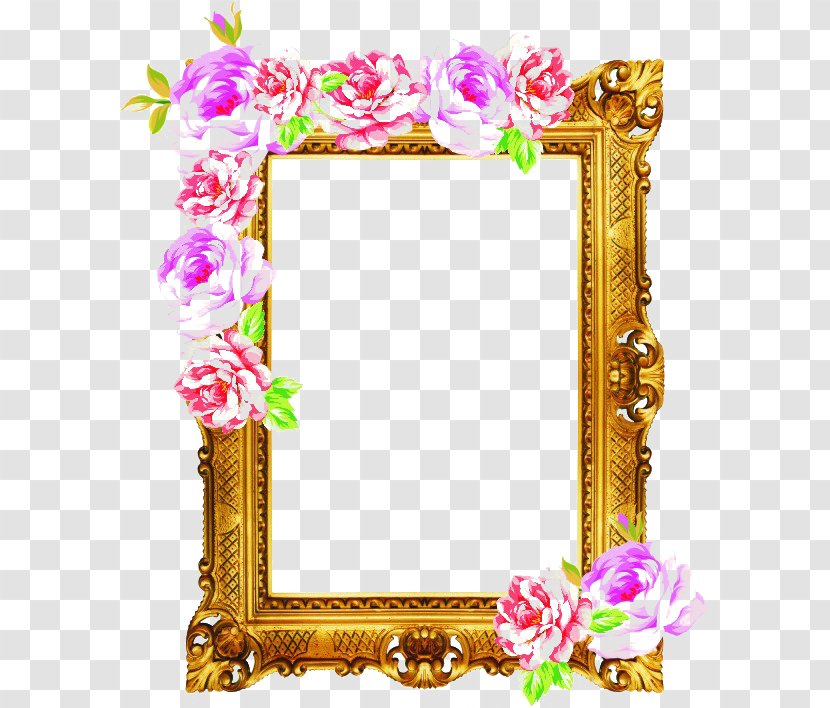 Beach Rose Picture Frame - Rectangle Transparent PNG