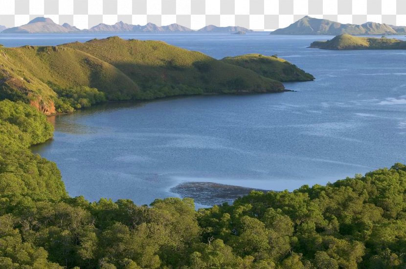 Komodo Rinca Beijing World Park National - Reservoir - Scenery Transparent PNG