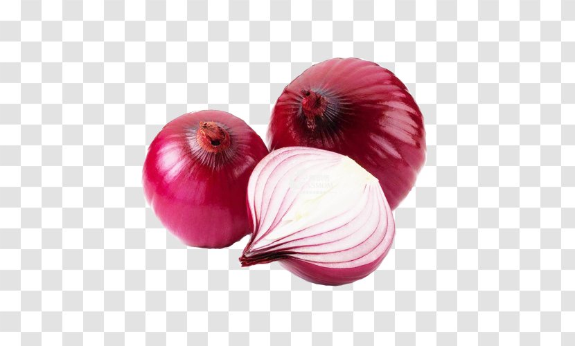 Organic Food Red Onion Vegetable White Fruit - Shallot Transparent PNG