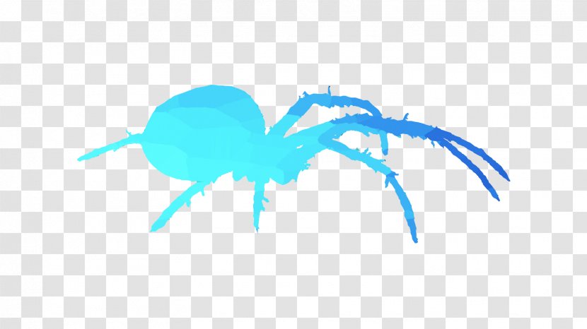 Clip Art Insect Desktop Wallpaper Line Computer - Turquoise - Organism Transparent PNG