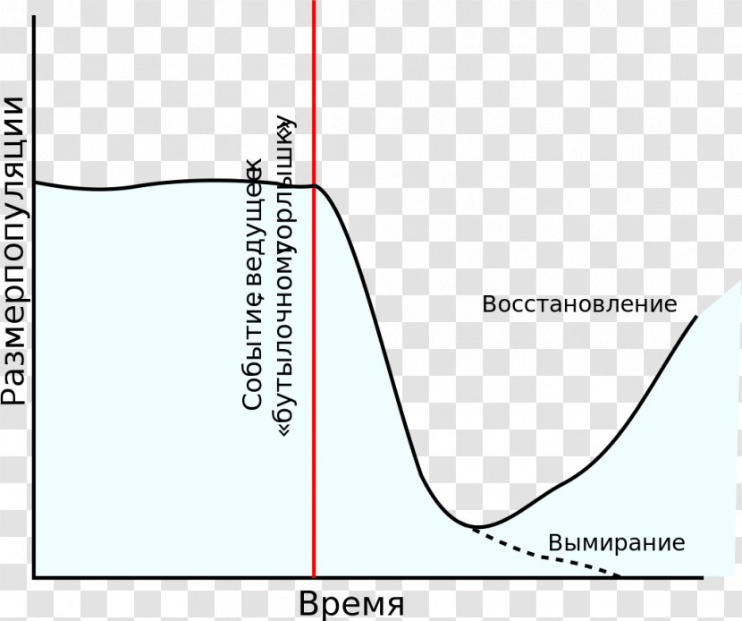 Line Diagram Angle - Text Transparent PNG