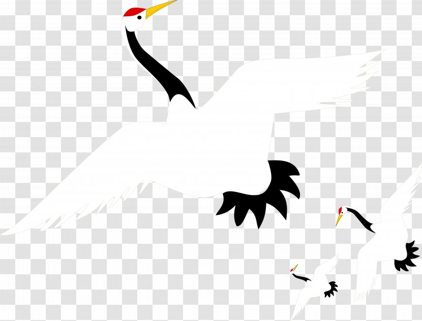 Red-crowned Crane Euclidean Vector Transparent PNG