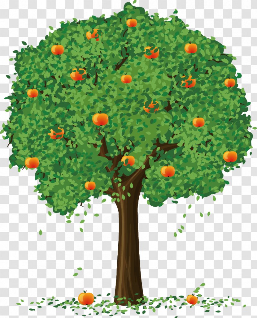 Apple Fruit Tree Clip Art - Flower Transparent PNG