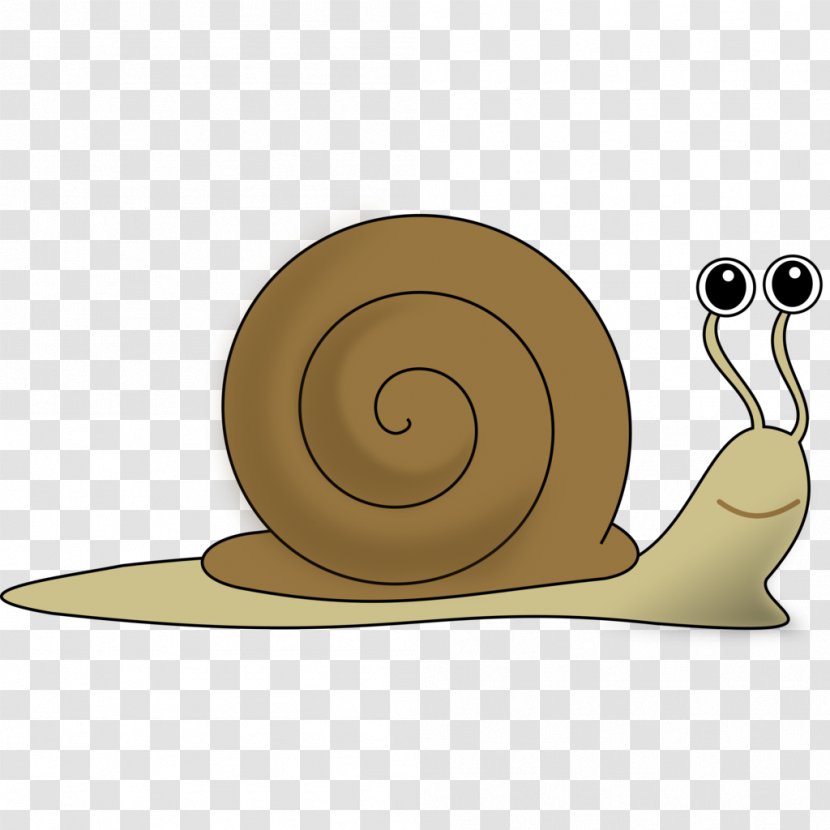 Snail Clip Art Transparent PNG