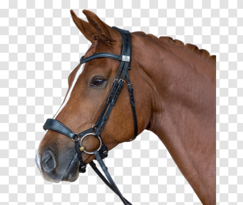 Horse Noseband Bridle Snaffle Bit Equestrian - Rein Transparent PNG