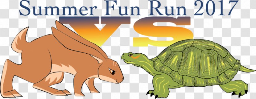Tortoise Hendricks County Parks & Recreation YMCA Wildlife Turtle - Fun Run - Running Transparent PNG