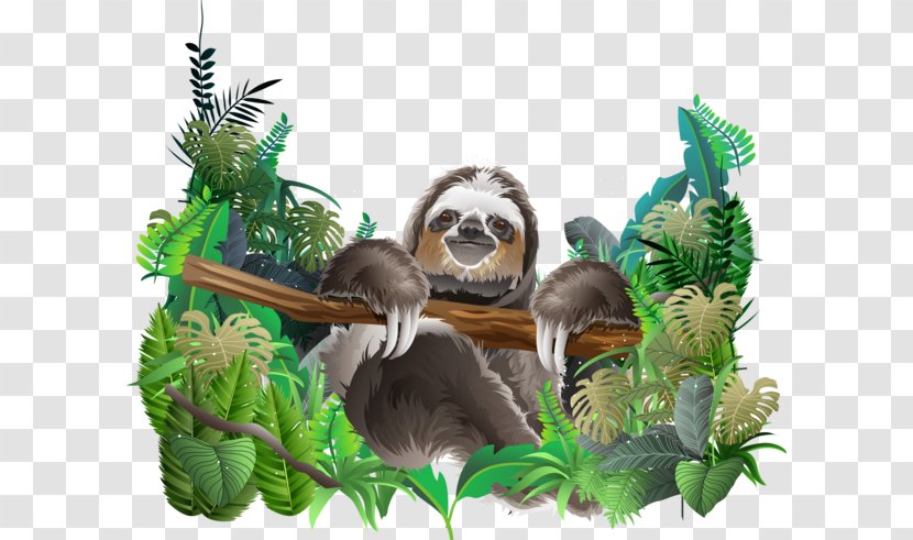 Sloth Jungle Clip Art Vector Graphics Illustration - Rainforest - Ecosystem Tropical Transparent PNG