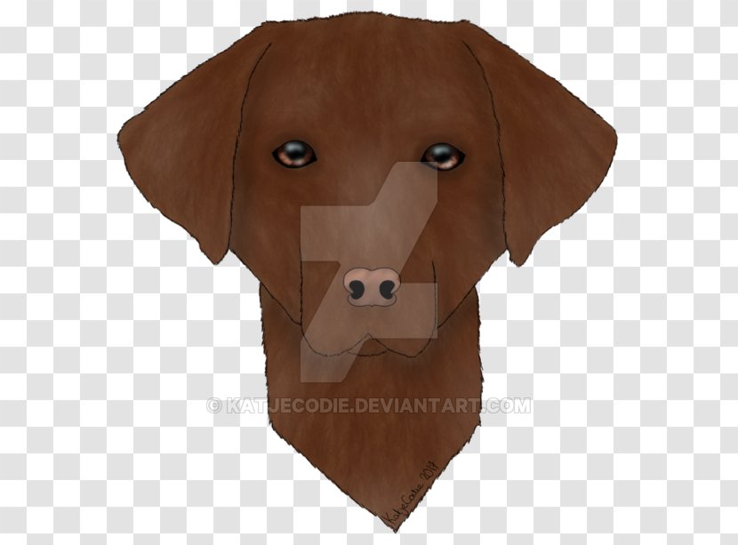 Dog Stuffed Animals & Cuddly Toys Snout - Like Mammal - Chocolate Labrador Transparent PNG