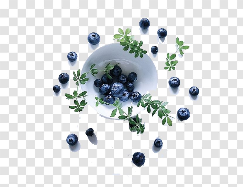 Reality World Mind - Sohu - Blueberry Dish Transparent PNG