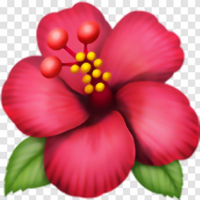 Emoji Domain Hibiscus .ws - Annual Plant - Flor Transparent PNG