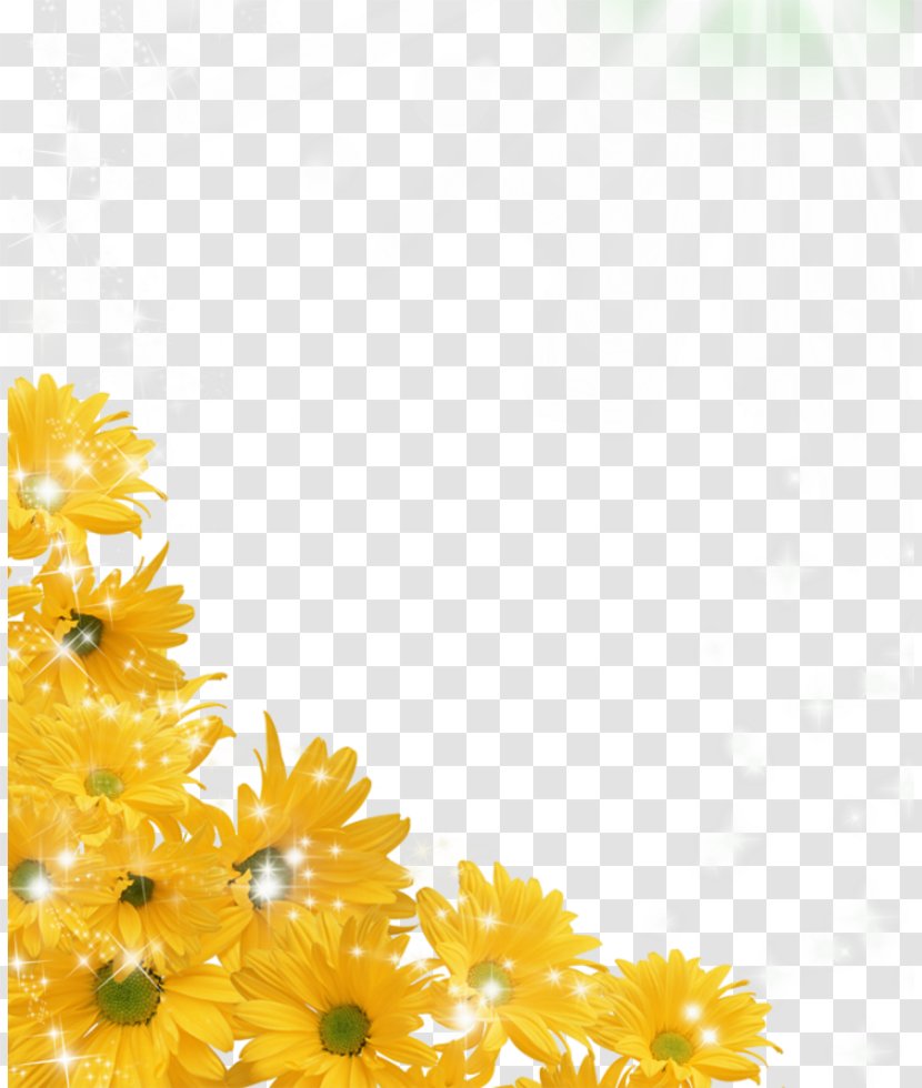 Desktop Wallpaper Clip Art - Digital Media - Sunflower Photo Transparent PNG