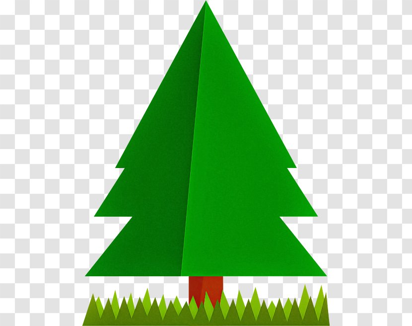Christmas Tree - Grass - Plant Pine Transparent PNG