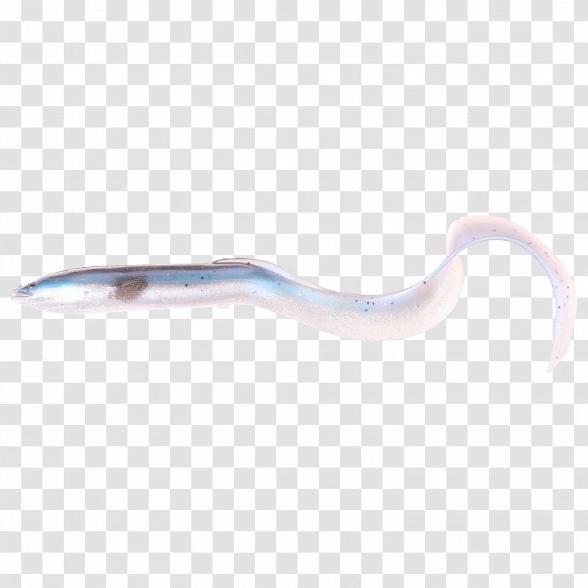 Eel Pound Worm Fishing Baits & Lures 5G Transparent PNG