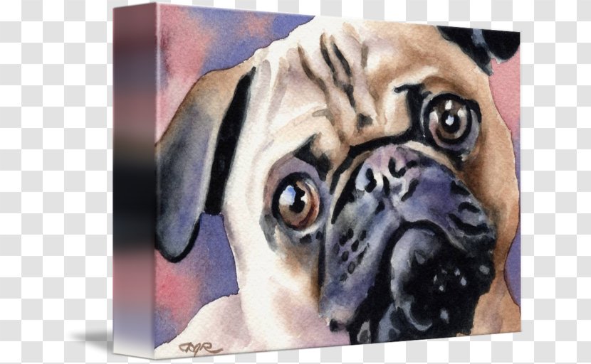 Pug Dog Breed Toy Puppy Gallery Wrap Transparent PNG