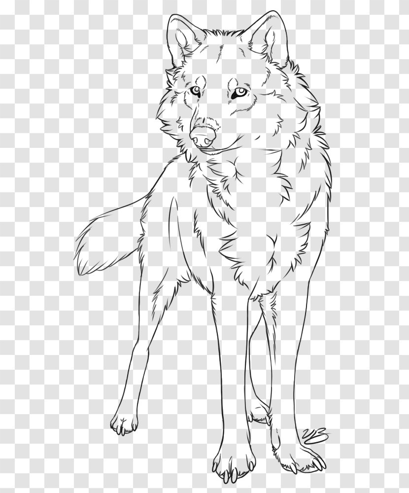 Gray Wolf Line Art Drawing Painting Sketch - Walking Shoe - Tattoo Transparent PNG