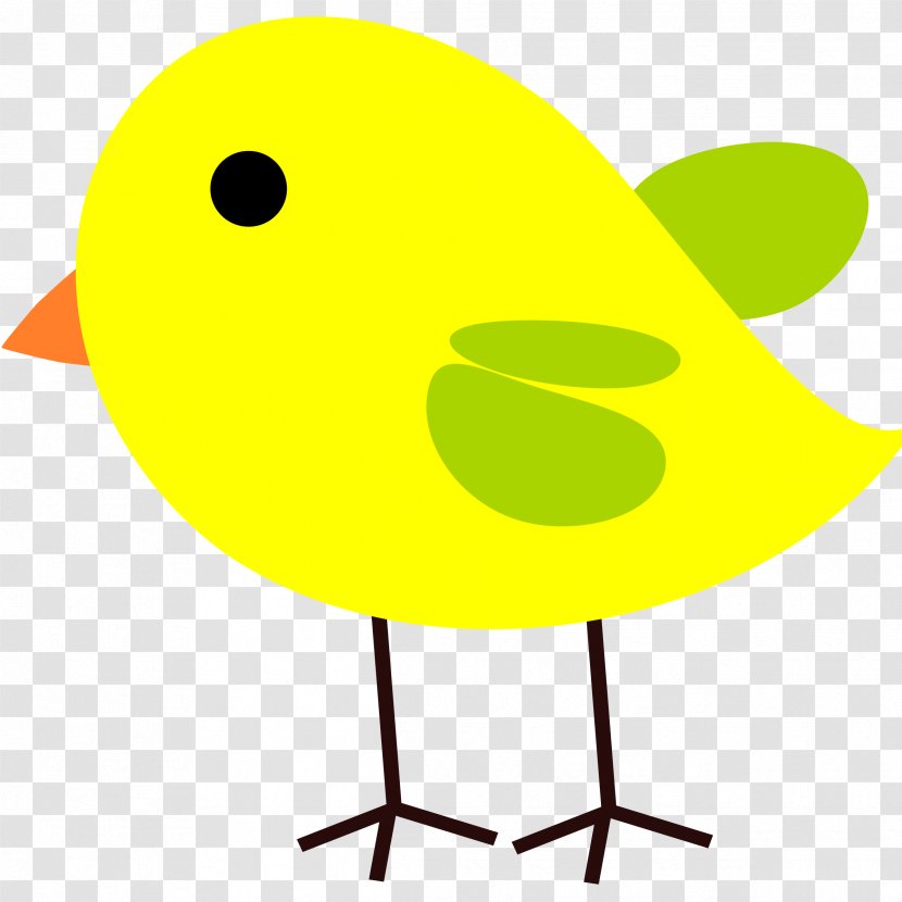 Yellow-hair Chicken Wyandotte Bird Fried Church's - Beak - Chick Transparent PNG