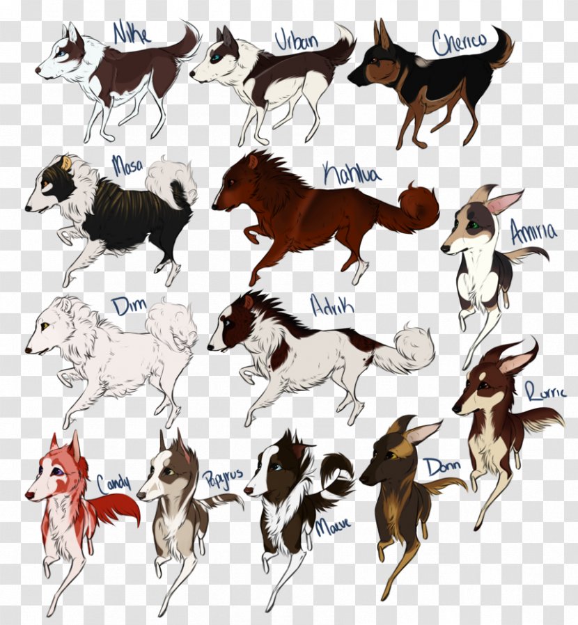 Dog Mustang Pack Animal Mane - Obedience Trial Transparent PNG