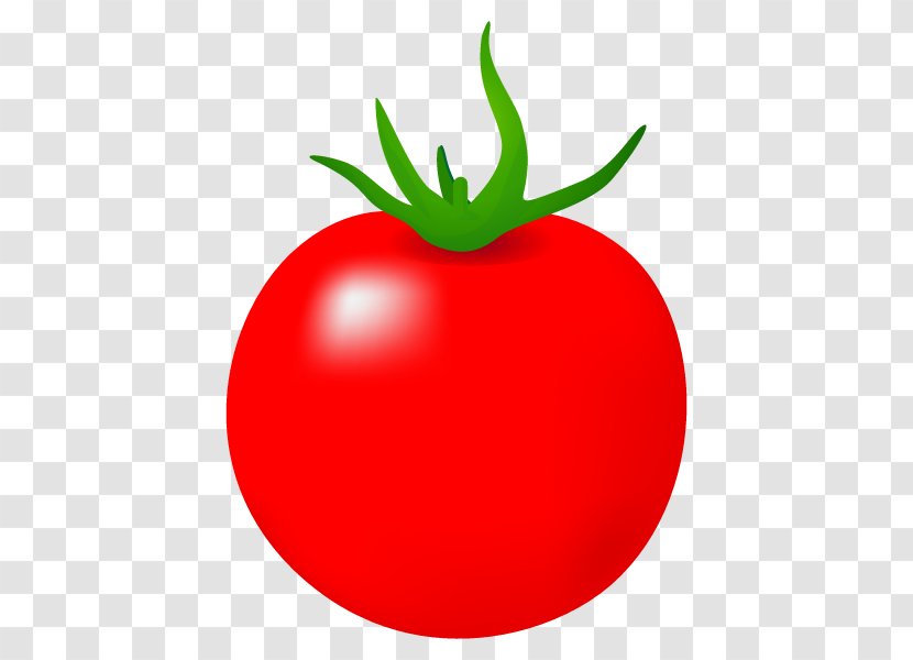 Plum Tomato Bush Vegetable Illustration - Natural Foods - Potato And Genus Transparent PNG