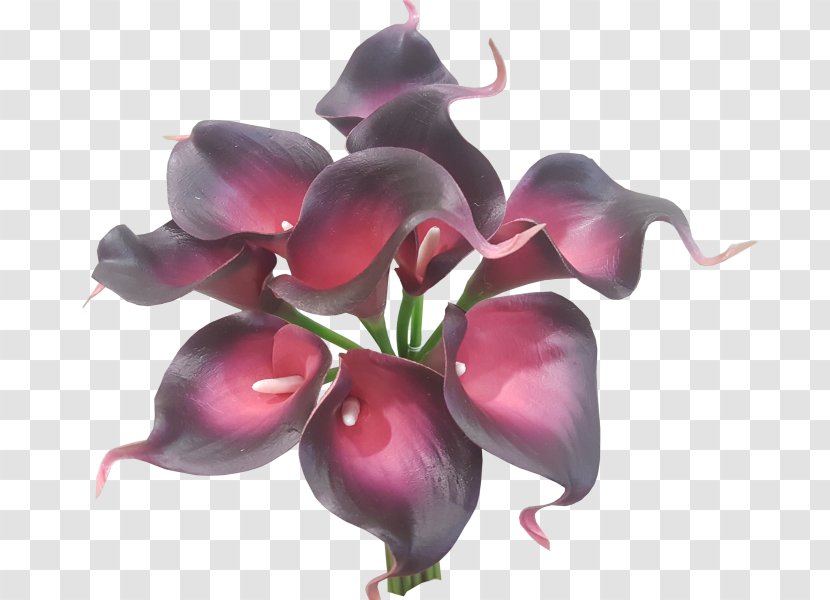 Arum-lily Flower Bouquet Artificial Plant - Wholesale - Callalily Transparent PNG