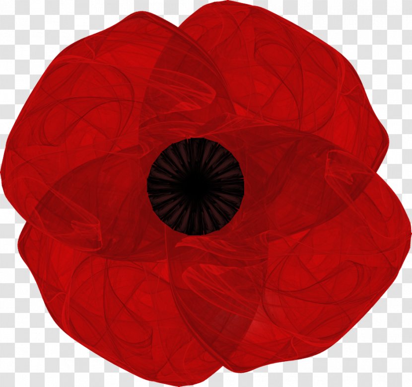 Coquelicot Maroon Flower Petal The Poppy Family Transparent PNG