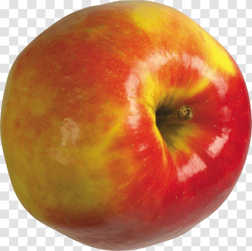 Apple Fruit Clip Art - Food - Image Transparent PNG