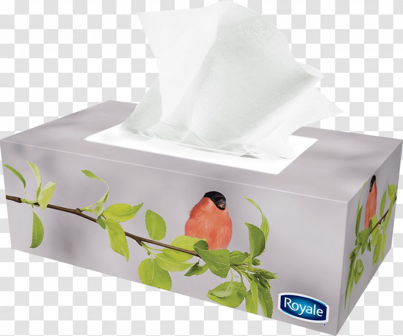Tissue Paper Box Facial Tissues Royale - Brand Transparent PNG