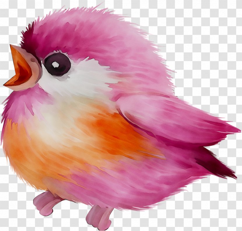 Beak Feather Chicken As Food - Songbird Transparent PNG