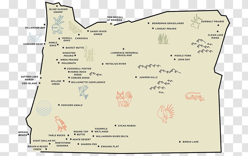 Map Line Tuberculosis Transparent PNG