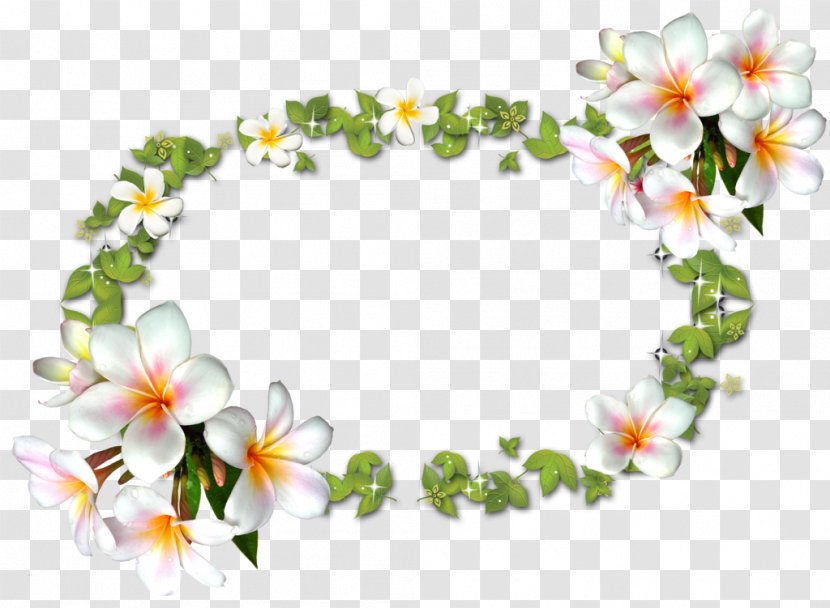 Picture Frames Photography - Flower Arranging - Floral Design Transparent PNG