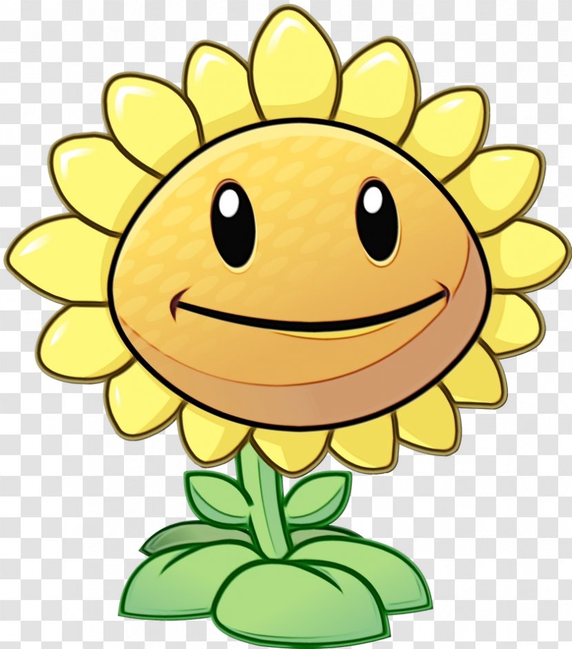 Sunflower - Head - Daisy Family Pleased Transparent PNG