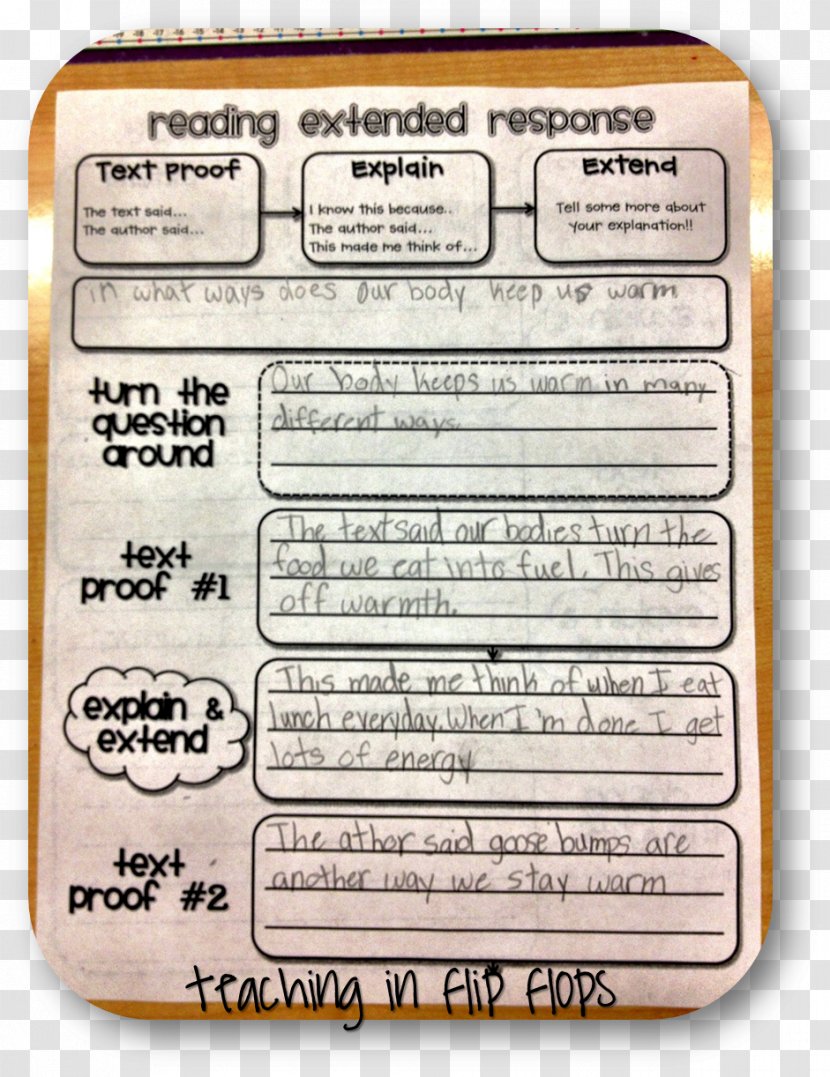Reading Chart Writing Text Third Grade - Teacher Transparent PNG
