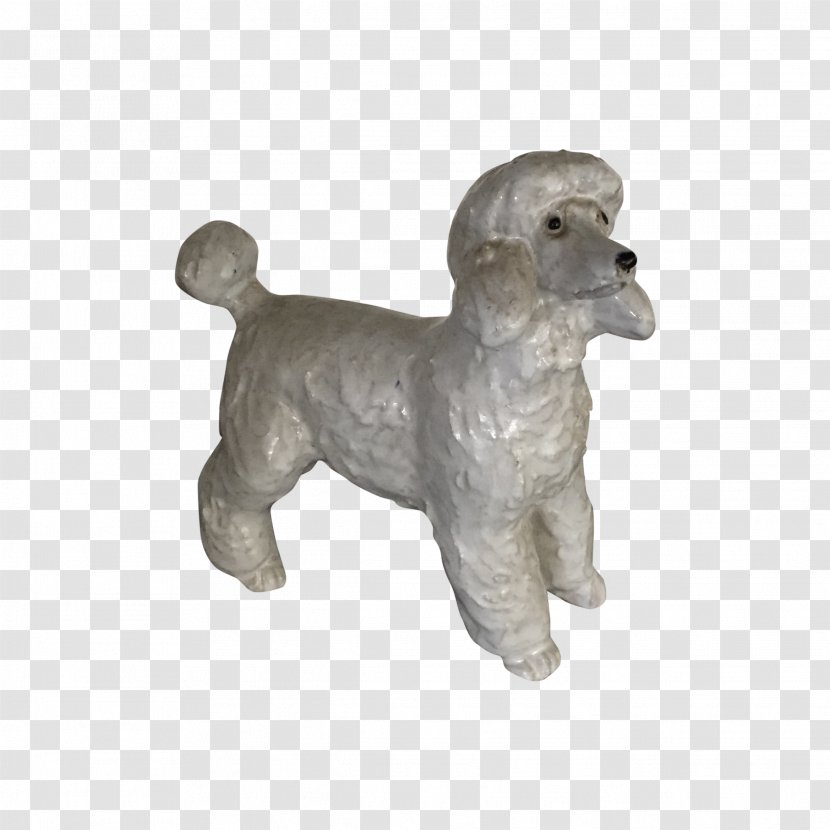 Standard Poodle Miniature Puppy Dog Breed Transparent PNG