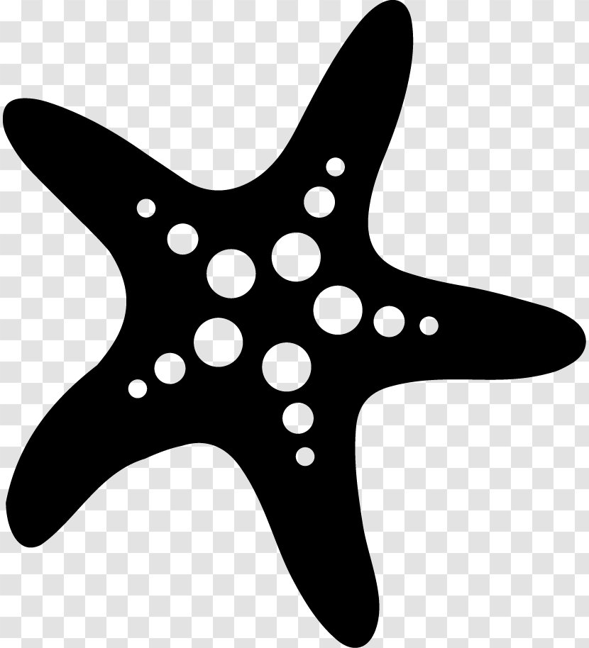 Starfish Health, Fitness And Wellness Physical Echinoderm - Silhouette - Model Movement Transparent PNG