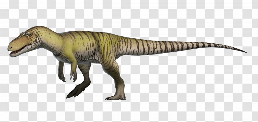Torvosaurus Megalosaurus Eustreptospondylus Afrovenator Dinosaur Transparent PNG