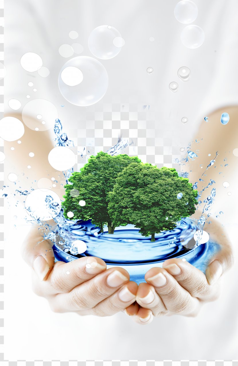 Aqua Vitae Fresh Water Plant Mrtvxe1 Voda - Life - Surroundings,Earth Transparent PNG