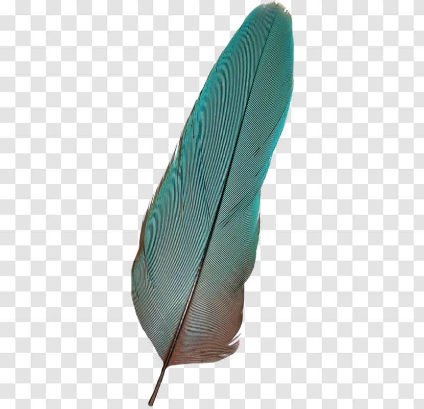 Bird Feather - Shoe - Feathers Transparent PNG