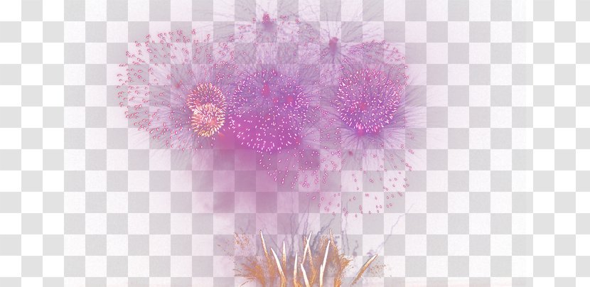 Petal Pink Floral Design Wallpaper - Computer - Fireworks Transparent PNG