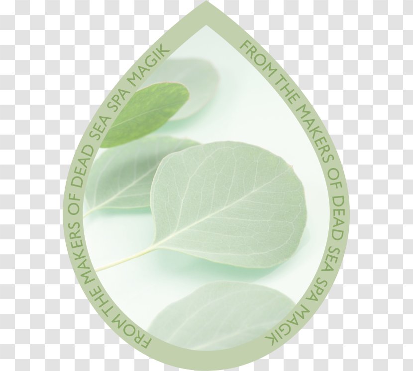 Green Leaf Gum Trees Tableware - Creative Drops Transparent PNG