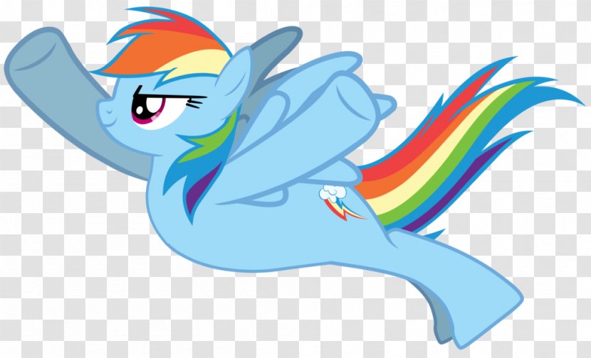 Pony Rainbow Dash - Cartoon Transparent PNG