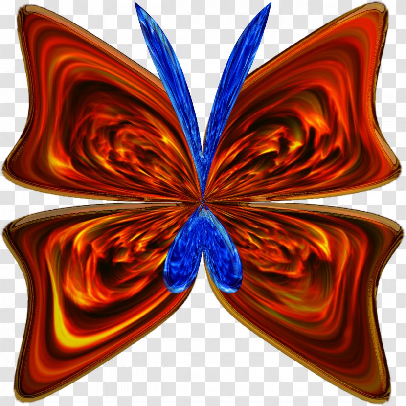 Butterfly Download Clip Art - Red Transparent PNG