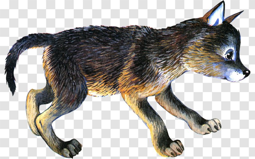 Gray Wolf PhotoScape Red Fox - Animal - Lobo Transparent PNG