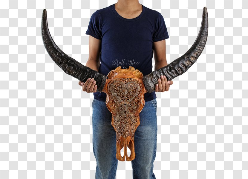 Horn Cattle SKULL MYSTIC Antler - Mystic Mandala - Buffalo Skull Transparent PNG