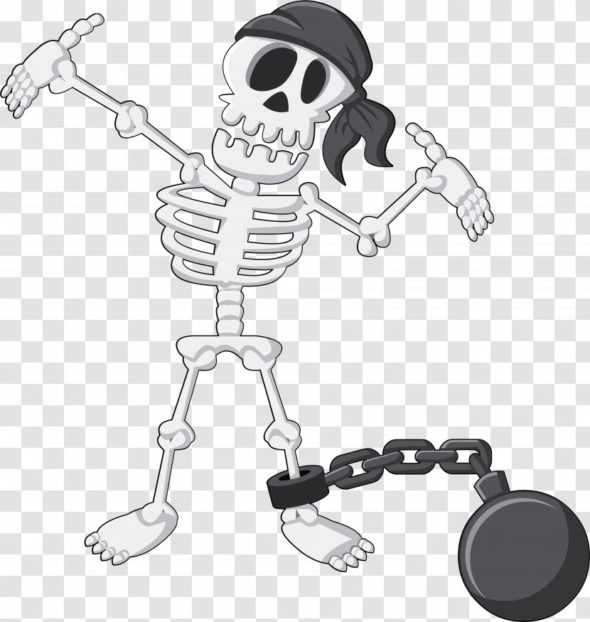 Human Skeleton Skull Euclidean Vector - Cartoon - Pirate Transparent PNG