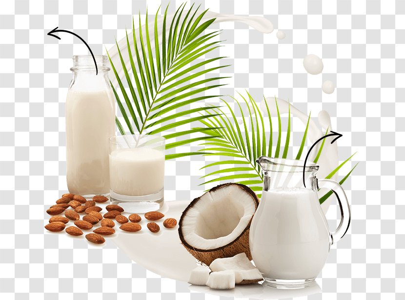 Plant Milk Almond Coconut Water Transparent PNG